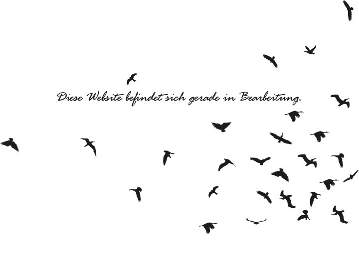 In Bearbeitung